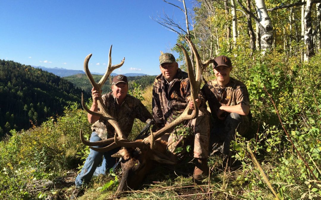 Uncover the Thrill of Elk Hunting in Colorful Colorado