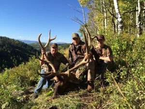 elk hunting in colorado