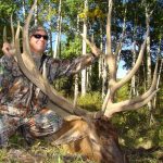 guided elk hunt colorado